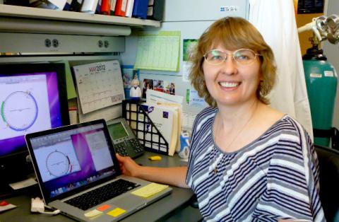 Designing plasmid constructs