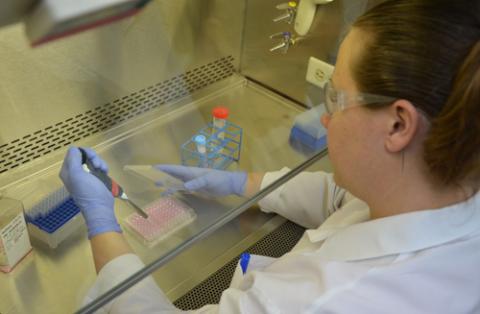 Using transfection to measure delivery of siRNA